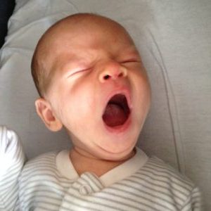 The Neu Dad - Marley yawning