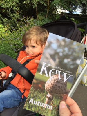 The Neu Dad and Marley in Kew Gardens