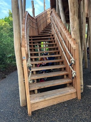 The steps up to the canopy in the Childrens Garden at Kew Gardens 