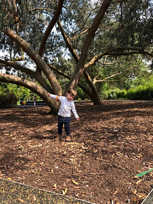 Marley enjoying himself in the Childrens Garden at Kew Gardens